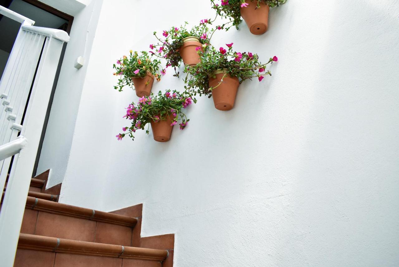 Casa Calma Ronda Estudio Apartment Екстериор снимка